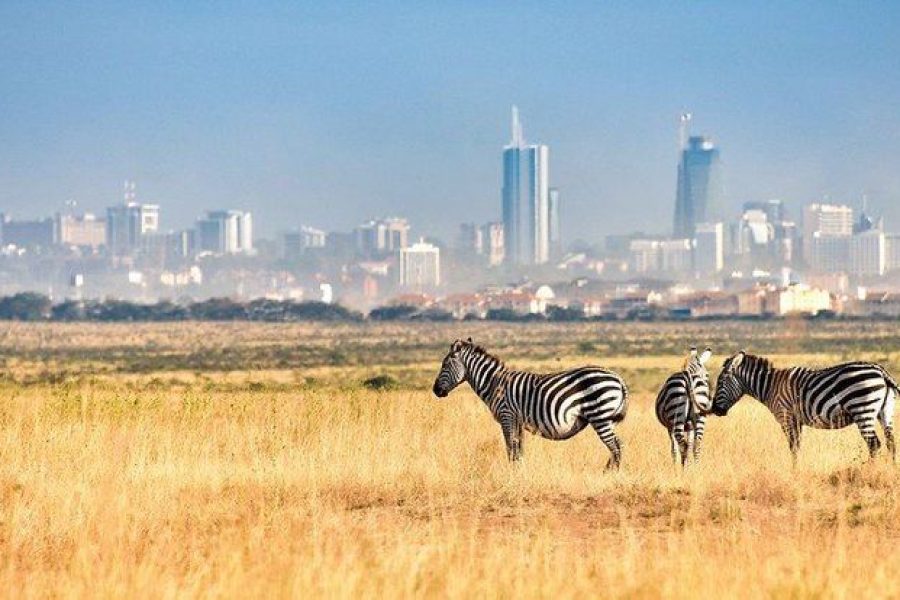 Nairobi National Park