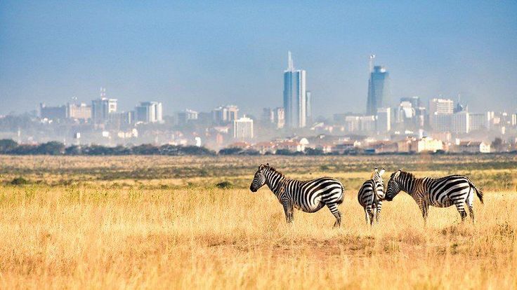 The-Best-of-Nairobi-in-7-Days-A-Travel-Itinerary-Guide-_-Magical-Kenya